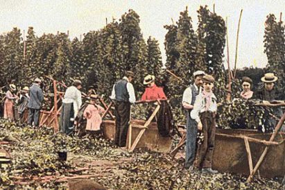 Farming